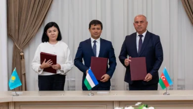 Создание совместного предприятия для зеленого энергетического коридора